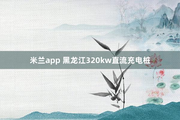 米兰app 黑龙江320kw直流充电桩