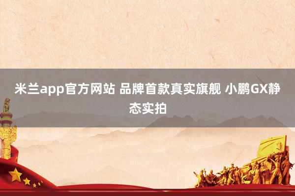 米兰app官方网站 品牌首款真实旗舰 小鹏GX静态实拍
