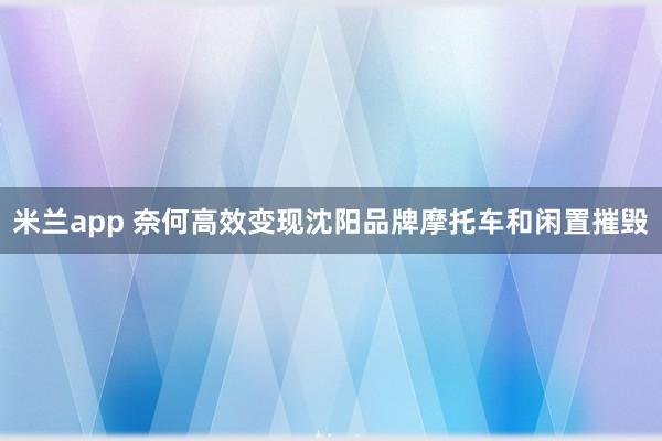 米兰app 奈何高效变现沈阳品牌摩托车和闲置摧毁