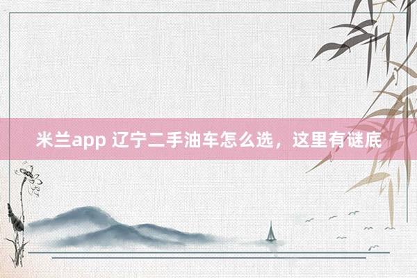 米兰app 辽宁二手油车怎么选，这里有谜底