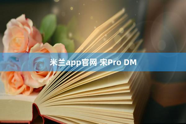 米兰app官网 宋Pro DM