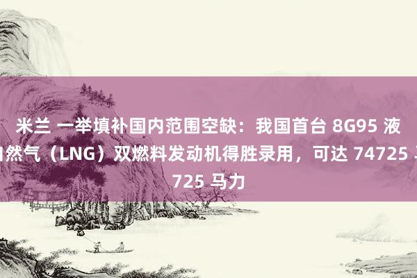 米兰 一举填补国内范围空缺：我国首台 8G95 液化自然气（LNG）双燃料发动机得胜录用，可达 74725 马力