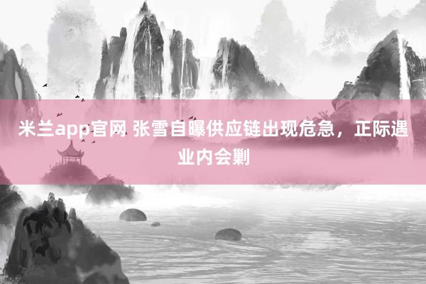 米兰app官网 张雪自曝供应链出现危急，正际遇业内会剿