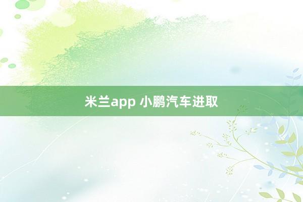 米兰app 小鹏汽车进取