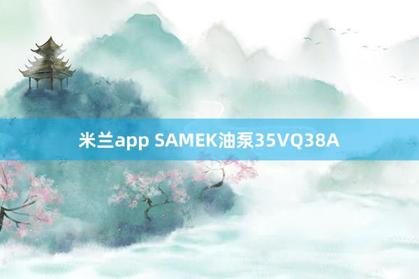 米兰app SAMEK油泵35VQ38A
