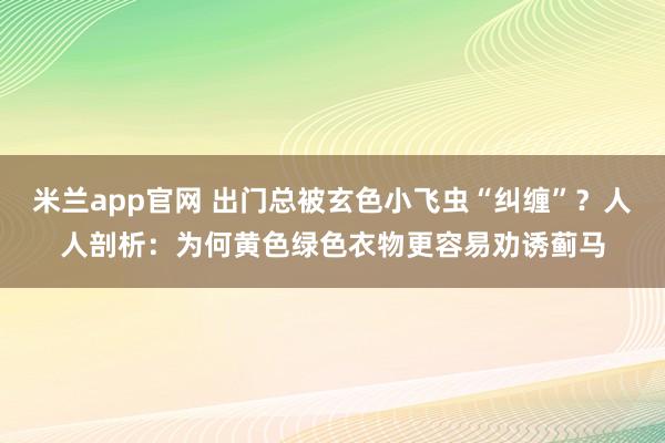 米兰app官网 出门总被玄色小飞虫“纠缠”？人人剖析：为何黄色绿色衣物更容易劝诱蓟马