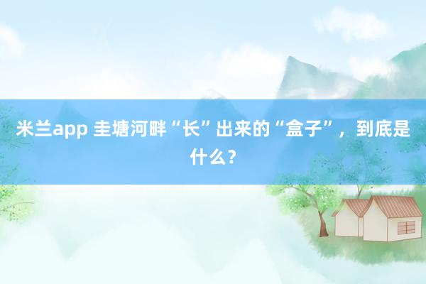 米兰app 圭塘河畔“长”出来的“盒子”，到底是什么？