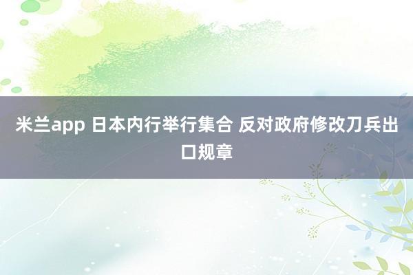 米兰app 日本内行举行集合 反对政府修改刀兵出口规章
