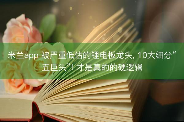 米兰app 被严重低估的锂电板龙头, 10大细分“五巨头”! 才是真的的硬逻辑